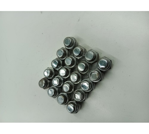 Комплект колесных гаек (20 шт.)