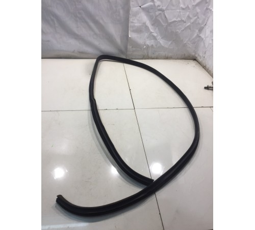 Уплотнитель двери (передний, левый)