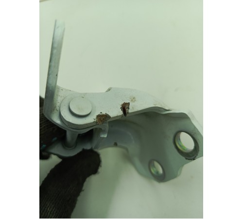 Петля двери задняя левая нижняя