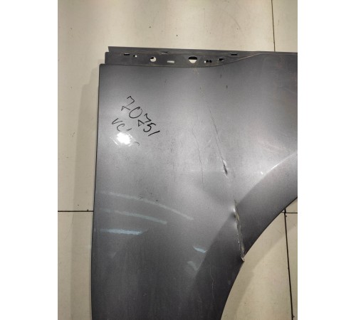 Крыло (переднее, правое)