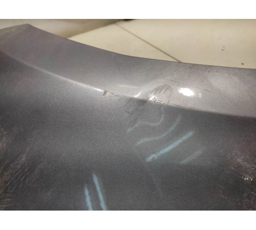 Крыло (переднее, правое)