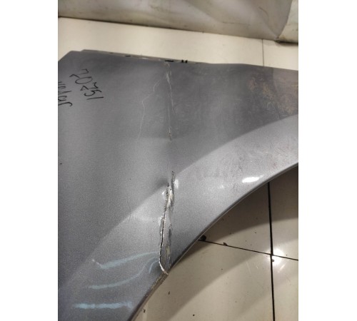 Крыло (переднее, правое)