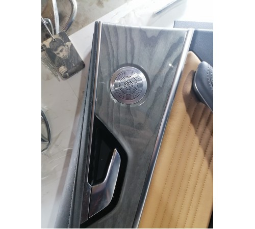 Обшивка двери задняя левая