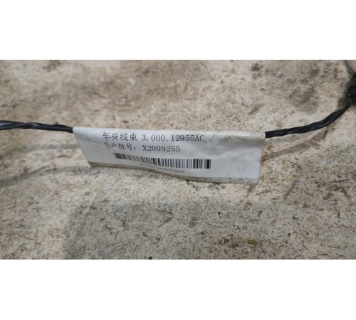 Электропроводка салонная всборе