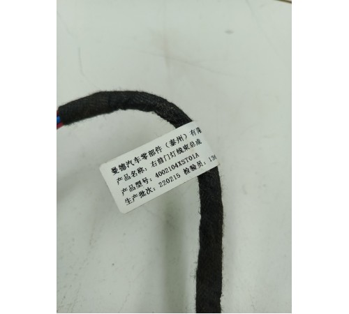 Электропроводка обшивки двери передняя правая