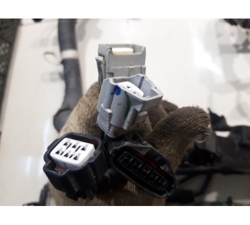 Электропроводка моторная