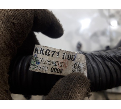 Электропроводка моторная