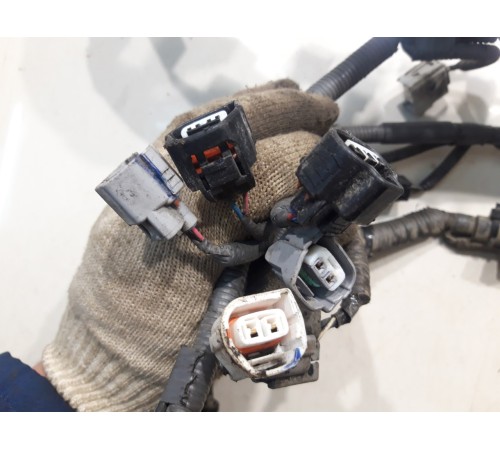 Электропроводка моторная