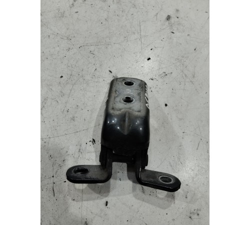 Петля двери(передняя левая нижняя)