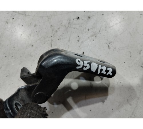 Петля двери(передняя левая нижняя)