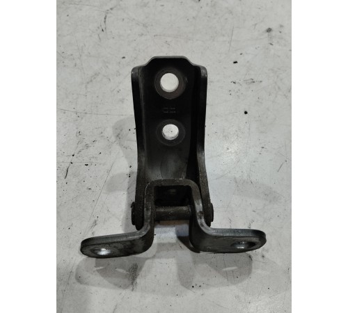 Петля двери(передняя левая нижняя)