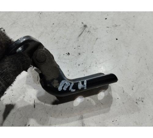 Петля двери(передняя левая нижняя)