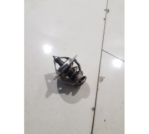 Термоэлемент термостата