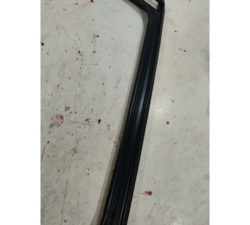 Уплотнитель стекла двери (задний левый)