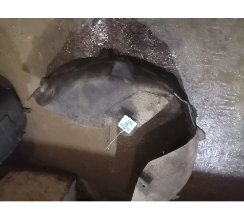 Локер (подкрылок) задний правый