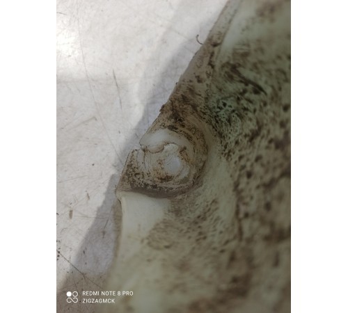 Бачок омывателя лобового стекла