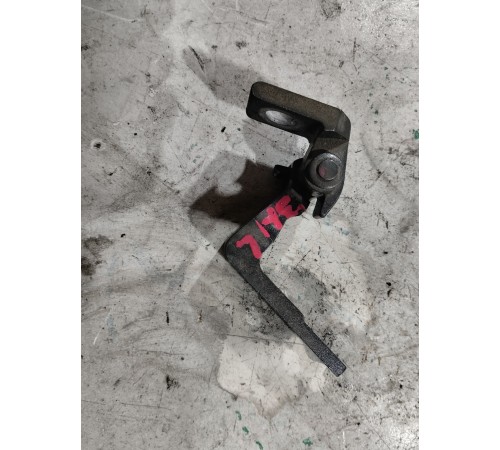 Петля двери задняя левая верхняя