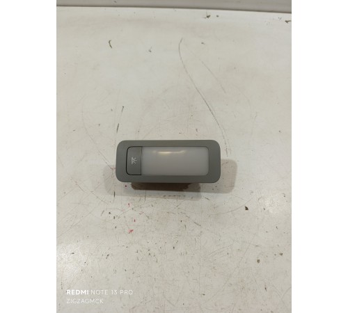 Плафон салонный