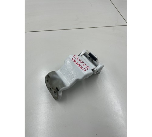 Петля распашной двери