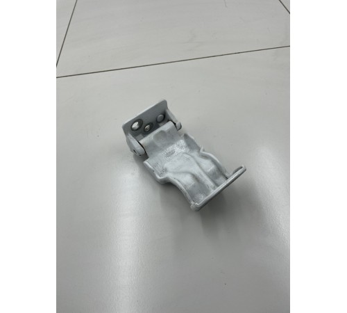 Петля распашной двери