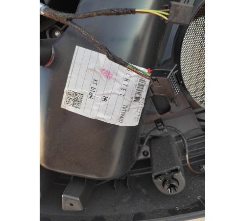 Обшивка двери (задняя правая)