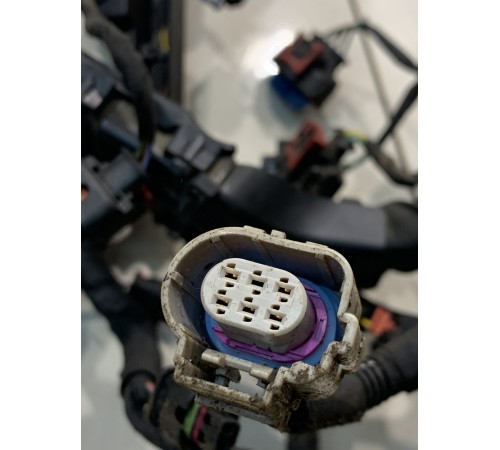 Электропроводка моторная