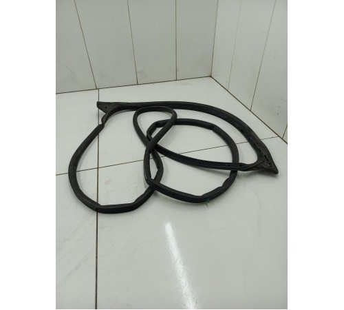 Уплотнитель двери задний левый