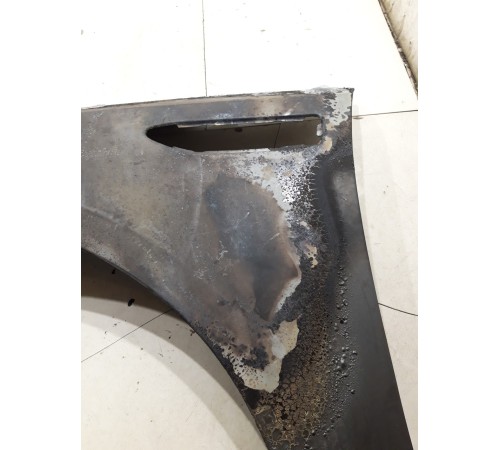 Крыло (переднее, левое)