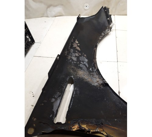 Крыло (переднее, левое)