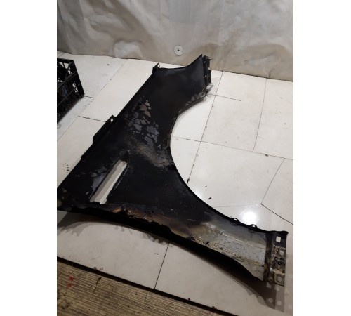 Крыло (переднее, левое)