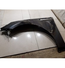 Крыло (переднее, левое)