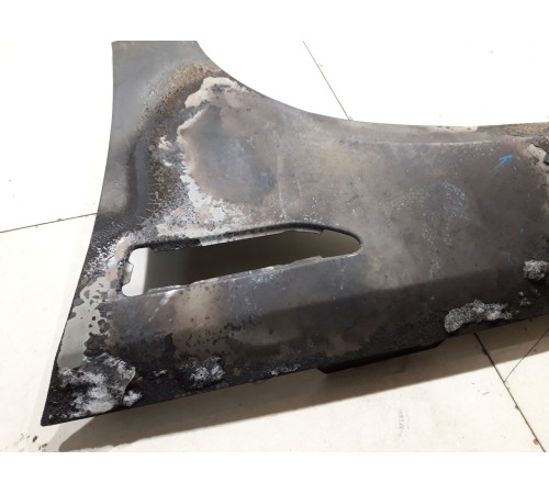 Крыло (переднее, левое)