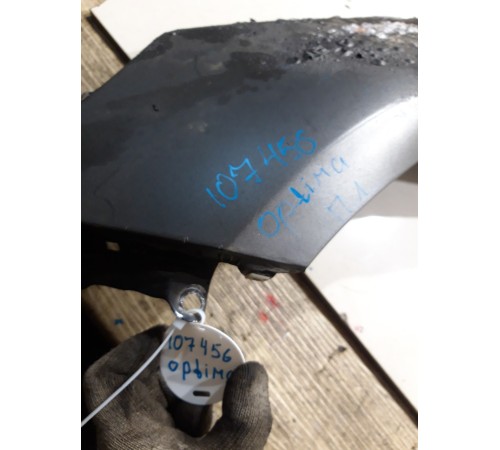 Крыло (переднее, левое)