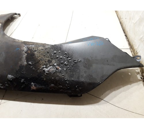 Крыло (переднее, левое)