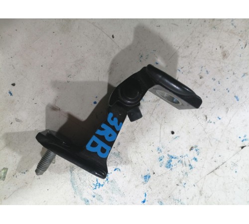 Петля двери задняя правая