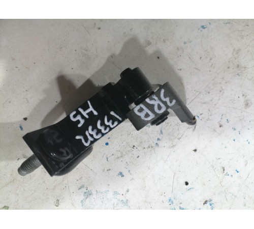 Петля двери задняя правая