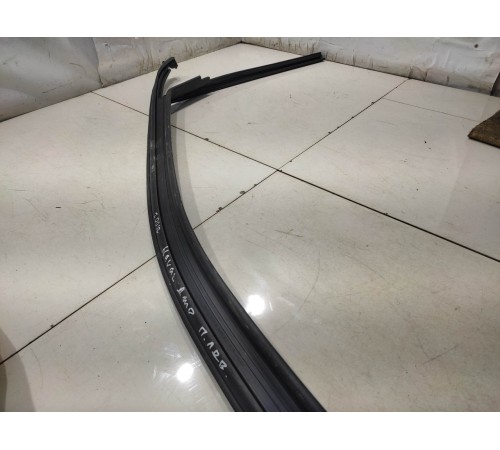 Уплотнитель двери (передний, левый)