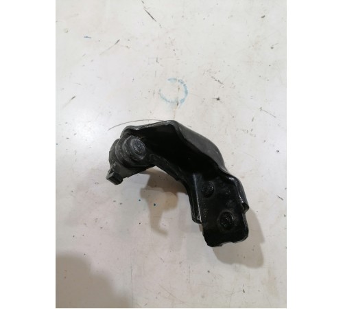 Петля двери задняя левая нижняя