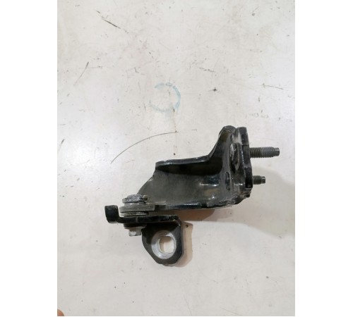 Петля двери задняя левая нижняя