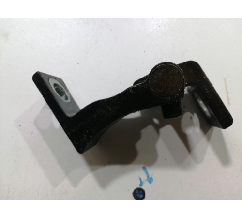 Петля двери задняя левая нижняя