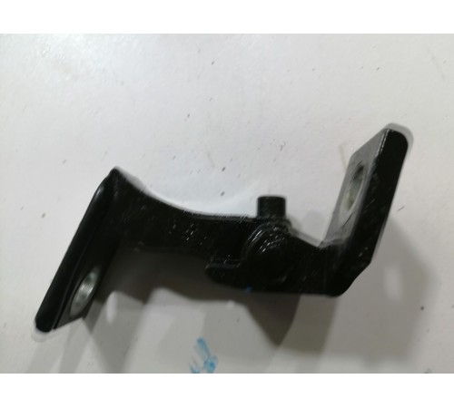 Петля двери задняя левая нижняя