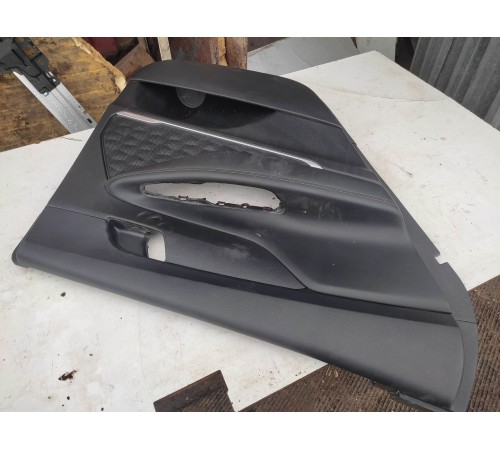 Обшивка двери (задняя левая)