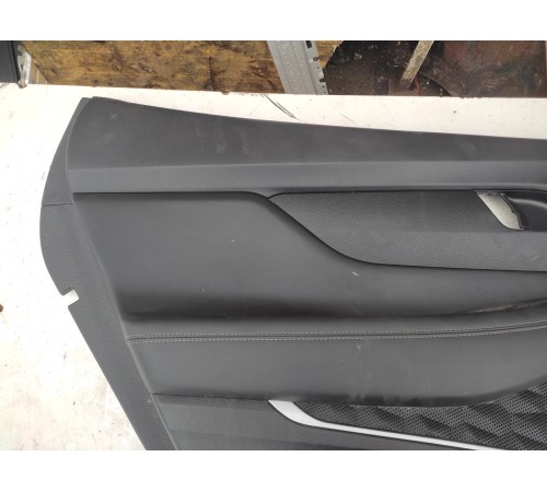 Обшивка двери (задняя левая)