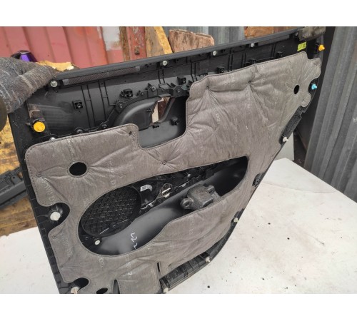 Обшивка двери (задняя левая)