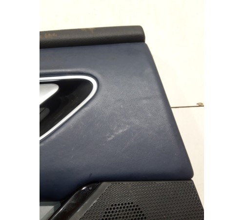 Обшивка двери (задняя, левая) (с подсветкой)