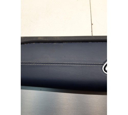 Обшивка двери (задняя, левая) (с подсветкой)