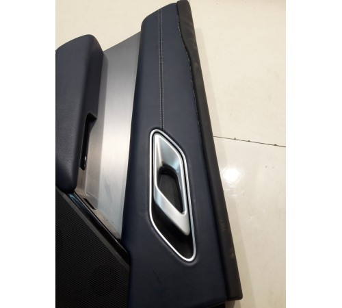 Обшивка двери (задняя, левая) (с подсветкой)