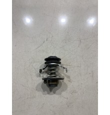 Термоэлемент термостата