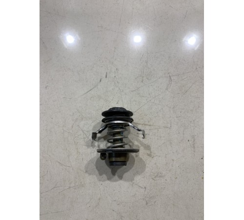 Термоэлемент термостата