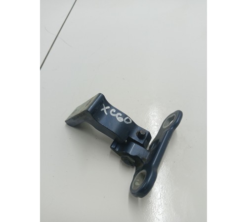 Петля двери задняя левая нижняя